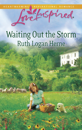Title details for Waiting Out the Storm by Ruth Logan Herne - Available